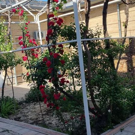 Hostel Muborak Semerkant Dış mekan fotoğraf