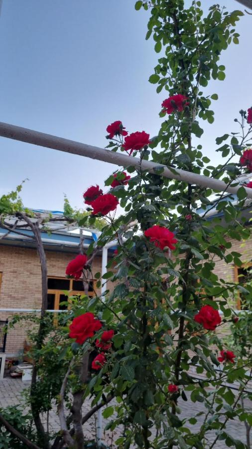 Hostel Muborak Semerkant Dış mekan fotoğraf