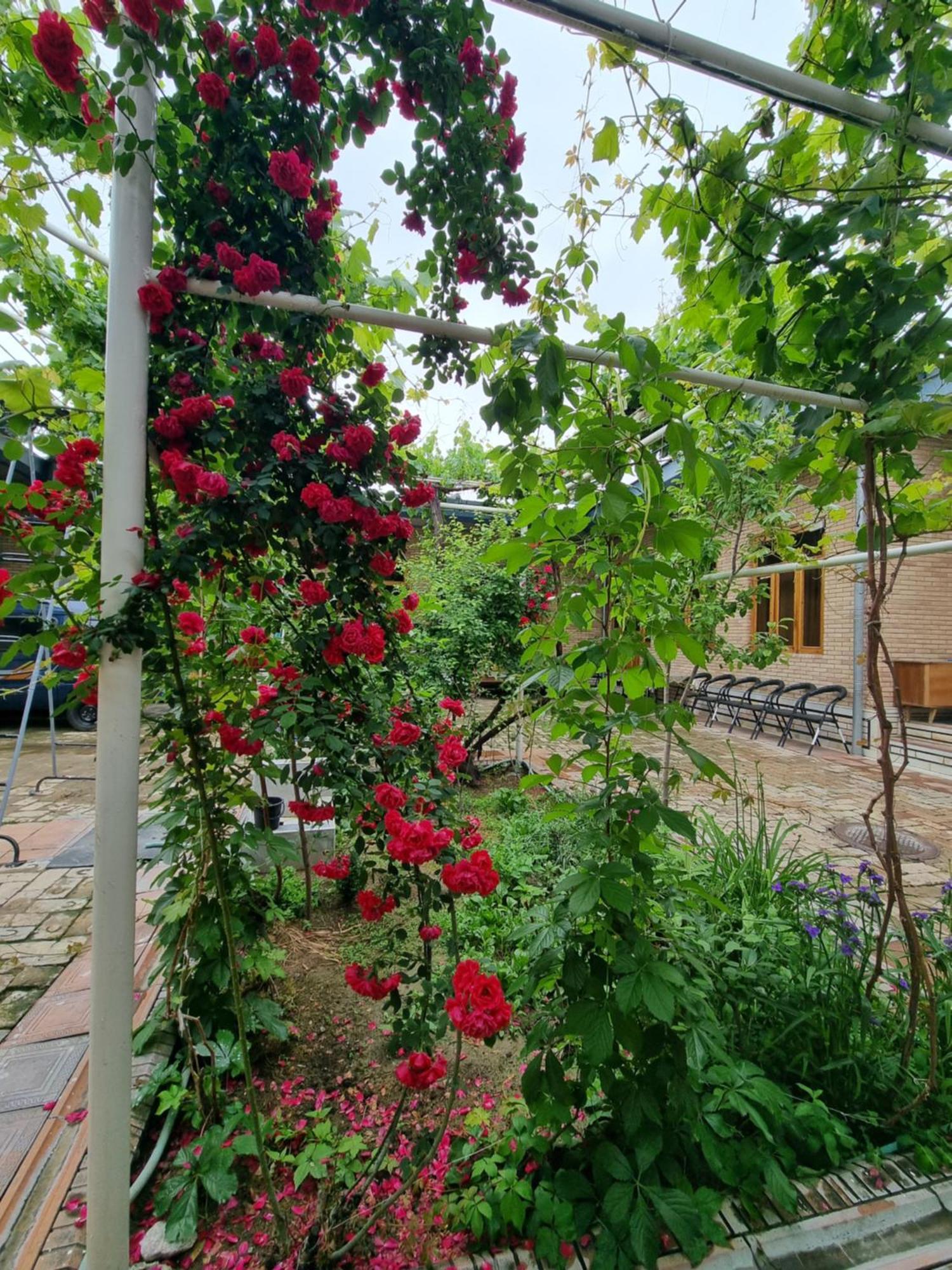 Hostel Muborak Semerkant Dış mekan fotoğraf
